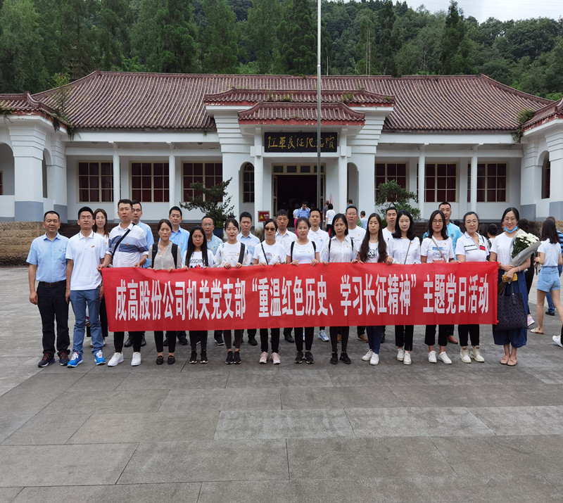 成高股份公司機關(guān)黨支部組織開展慶祝建黨99周年主題黨日活動_副本.jpg